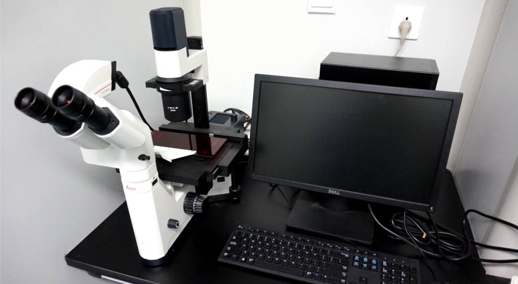 Inverted fluorescence Microscope
