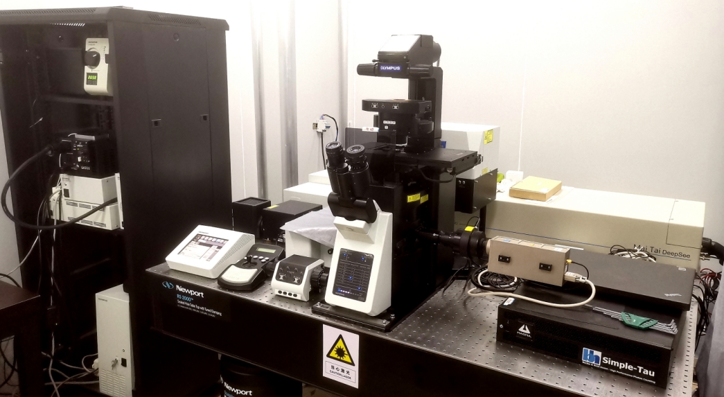 Two photon laser confocal microscope