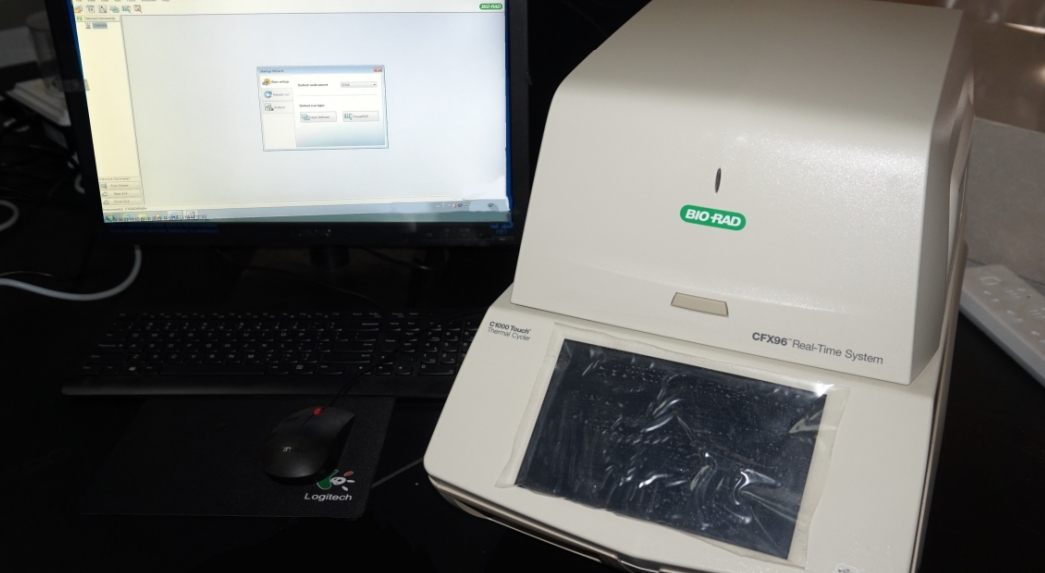 Real time English light quantitative PCR instrument