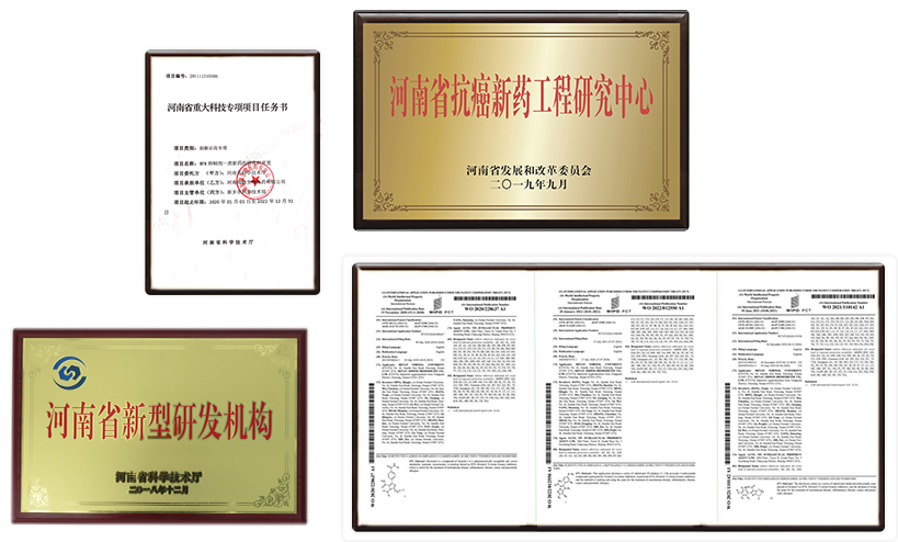 荣誉资质