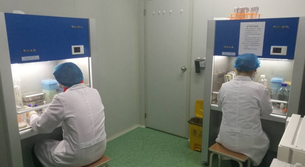细胞培养实验室